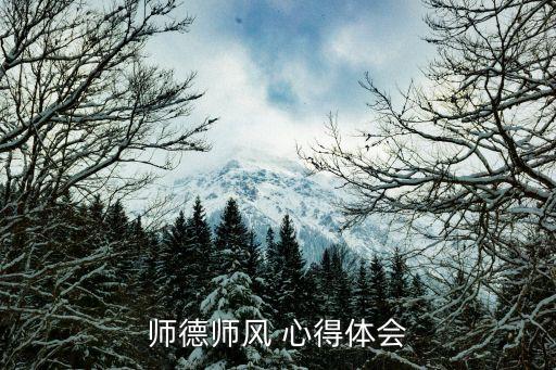 师德师风 心得体会