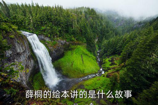 薛桐的绘本讲的是什么故事