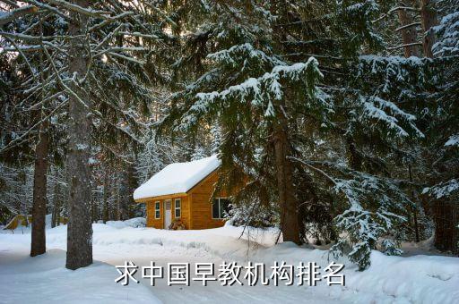 中国早教机构排行榜前十名，中国早教机构排名有哪些