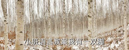 小班语言教案我有一双脚