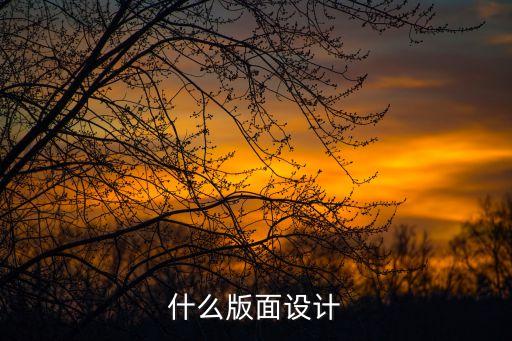 什么版面设计
