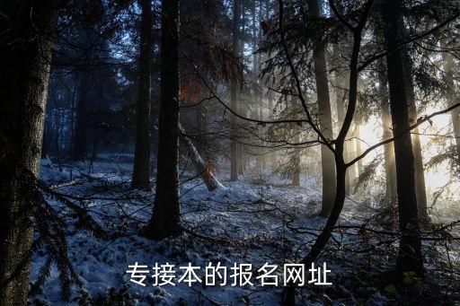 专升本报名网站报名入口，专接本的报名网址