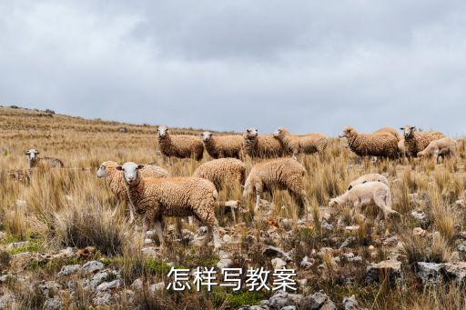 怎样写教案