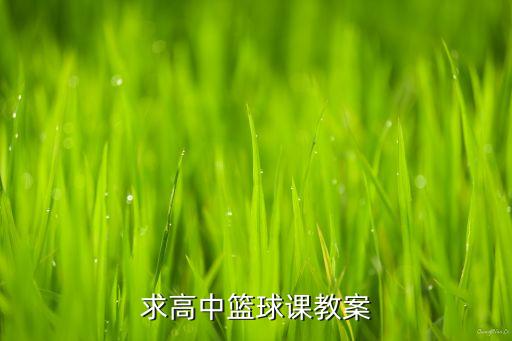 高中体育教案简案，体育教育实习了高中生喜欢什么项目我要写篇那个项目的教案呢