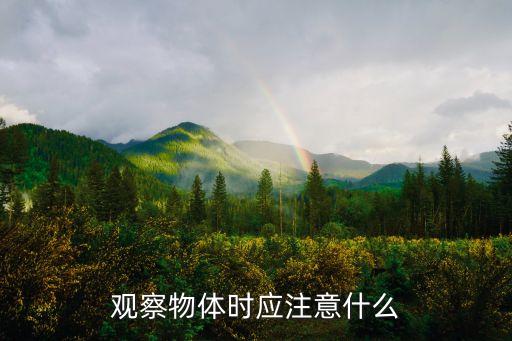 观察物体时应注意什么
