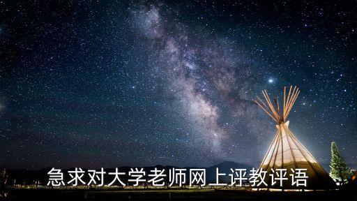 急求对大学老师网上评教评语