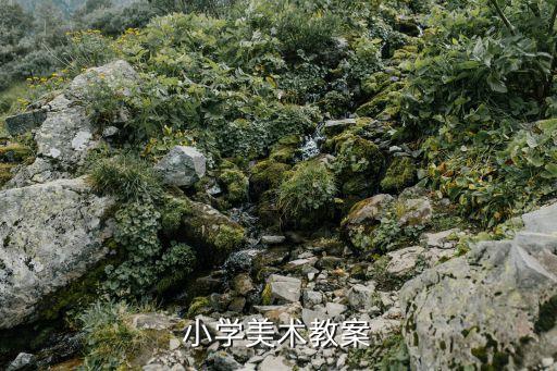 小学美术教案