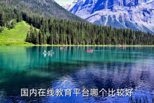 国内在线教育平台哪个比较好