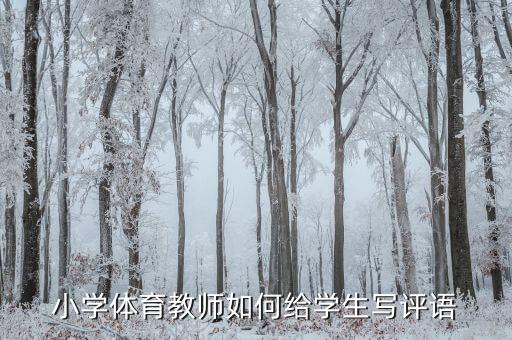小学体育教师如何给学生写评语