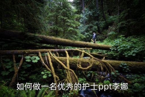 如何做一名优秀的护士ppt李娜