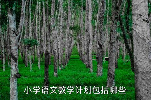 小学语文教学计划包括哪些