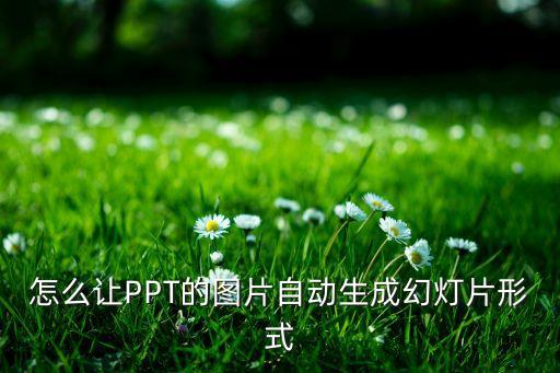 怎么让PPT的图片自动生成幻灯片形式