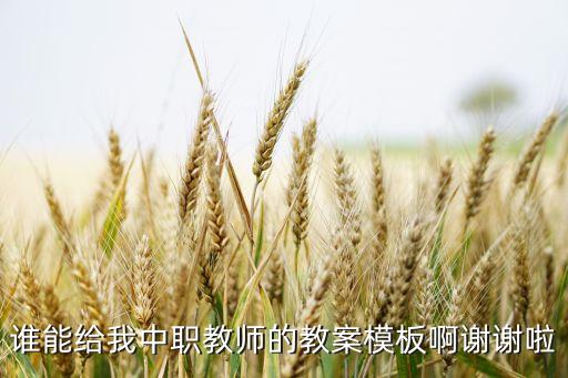 谁能给我中职教师的教案模板啊谢谢啦