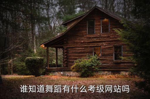 谁知道舞蹈有什么考级网站吗