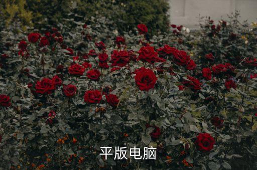 平版电脑