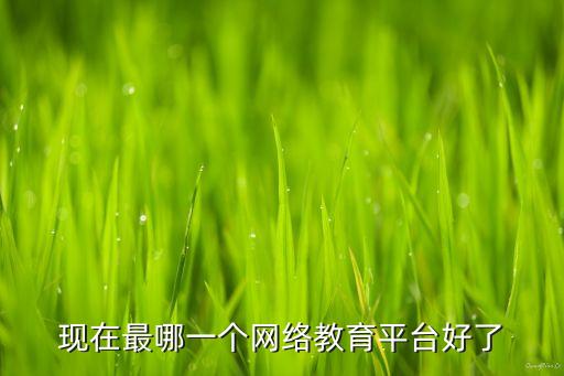 现在最哪一个网络教育平台好了