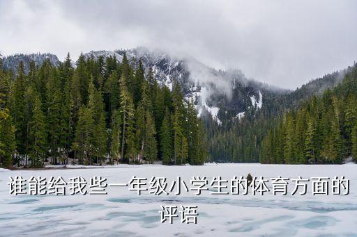 体育教案检查评语，谁能给我些一年级小学生的体育方面的评语
