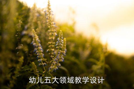 五大领域幼儿园教案艺术画画，幼儿五大领域教学设计