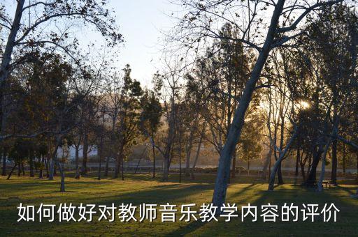 音乐教案评价及建议的评语，谈谈你是如何进行音乐教学评价的