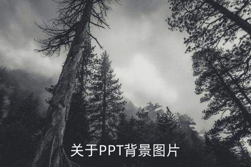 幼儿园课件背景图片一套，谁有做PPT背景的图片库
