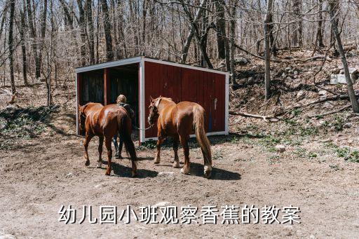 幼儿园小班观察香蕉的教案