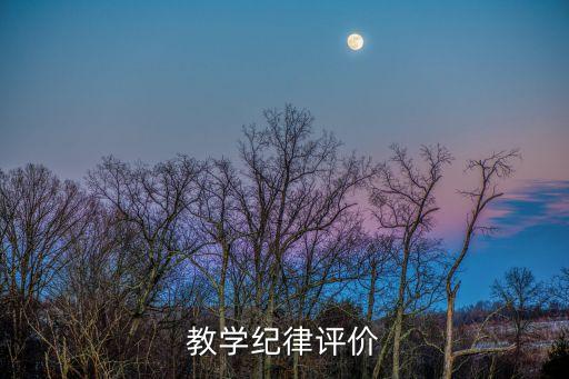 教学纪律评价