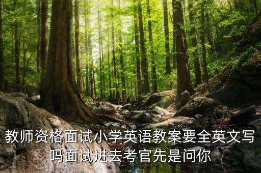 教师资格面试小学英语教案要全英文写吗面试进去考官先是问你