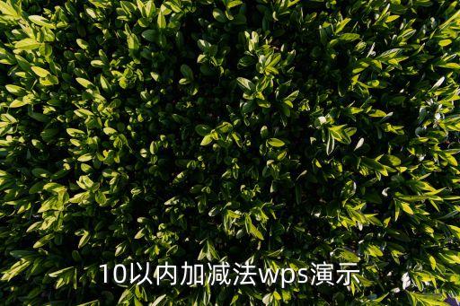 10以内加减法wps演示