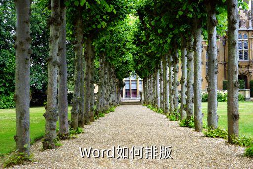 word文档教案排版，WORD如何排版