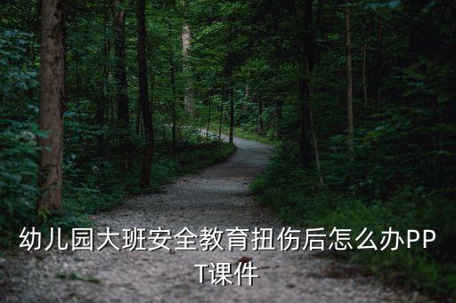幼儿园安全教育活动ppt课件，幼儿园如何防雷电安全教育ppt