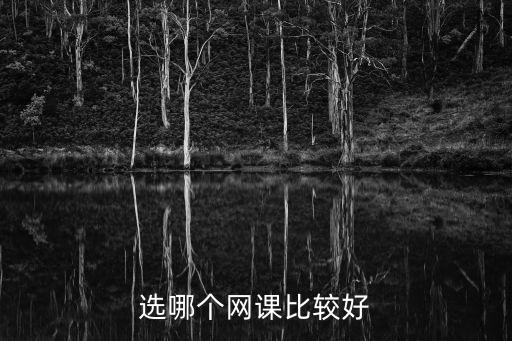 网课十大排名，请问中国十大网校是哪十个呢