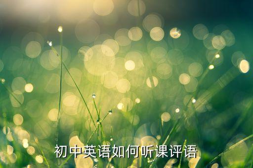 初中英语如何听课评语