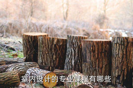 室内设计的专业课程有哪些