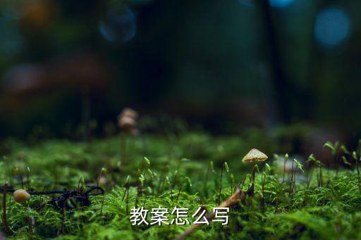 教案怎么写