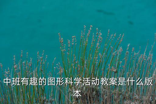 中班有趣的图形科学活动教案是什么版本