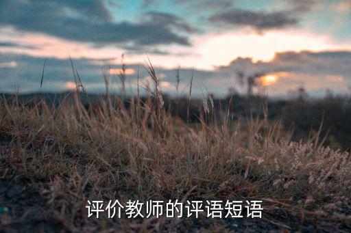 教师教学评价用语缺点分析，怎么写老师的缺点