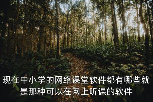现在中小学的网络课堂软件都有哪些就是那种可以在网上听课的软件