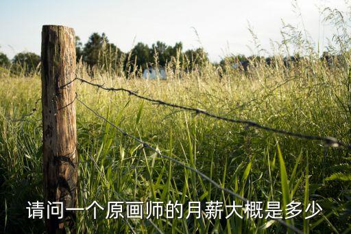 请问一个原画师的月薪大概是多少