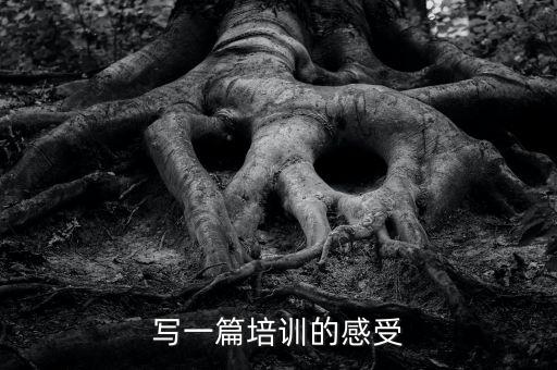 短视频培训心得体会，求篇培训学习心得要怎么写哦