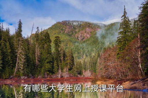 有哪些大学生网上授课平台