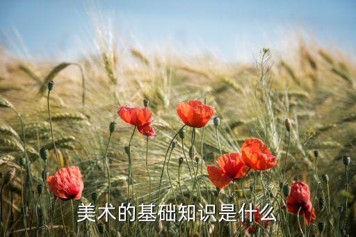 美术基础知识入门，美术的基础知识是什么