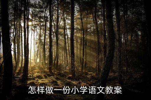 怎样做一份小学语文教案