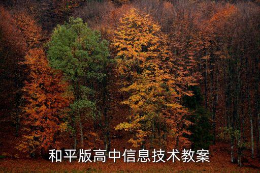 和平版高中信息技术教案