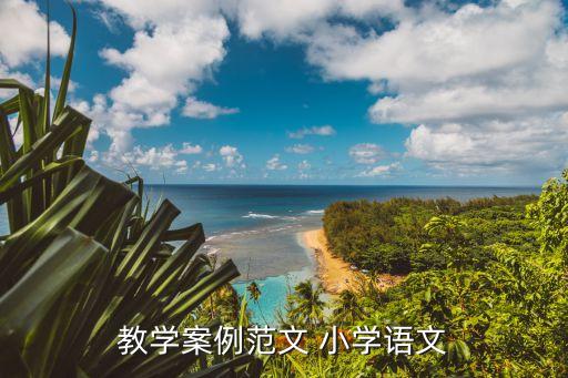 教学案例范文 小学语文
