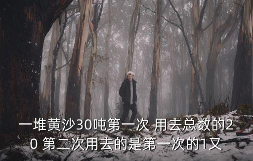 一堆黄沙30吨第一次 用去总数的20 第二次用去的是第一次的1又