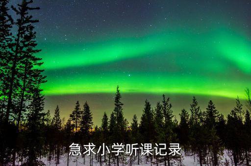 急求小学听课记录