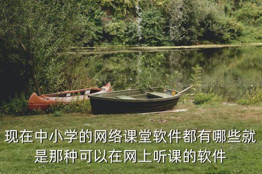 现在中小学的网络课堂软件都有哪些就是那种可以在网上听课的软件