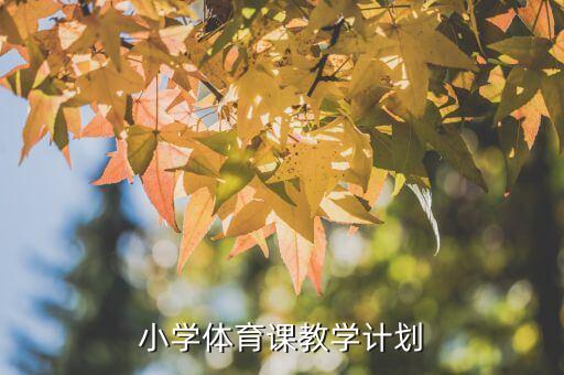 体育田径18节课安排，体育常规课讲点甚么好