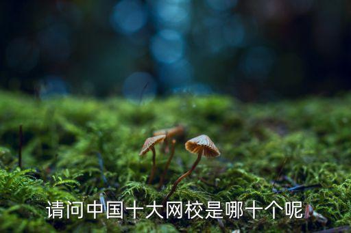 全国十大知名网课高中，请问中国十大网校是哪十个呢