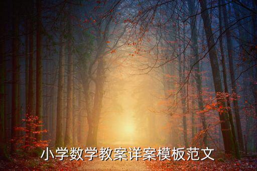 小学数学教案详案模板范文